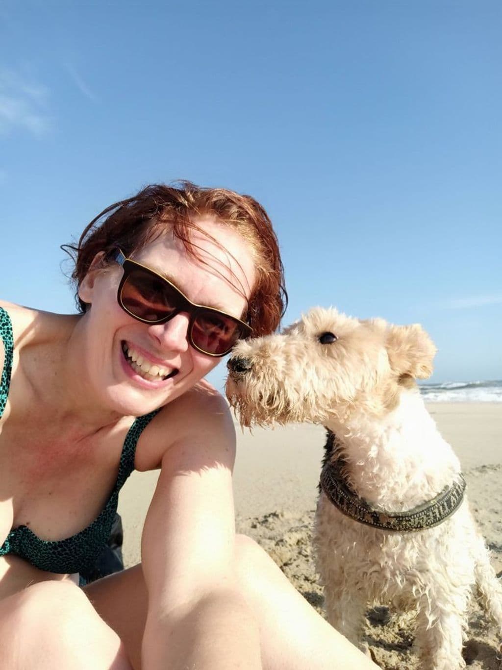 strand met oppashond.jpg