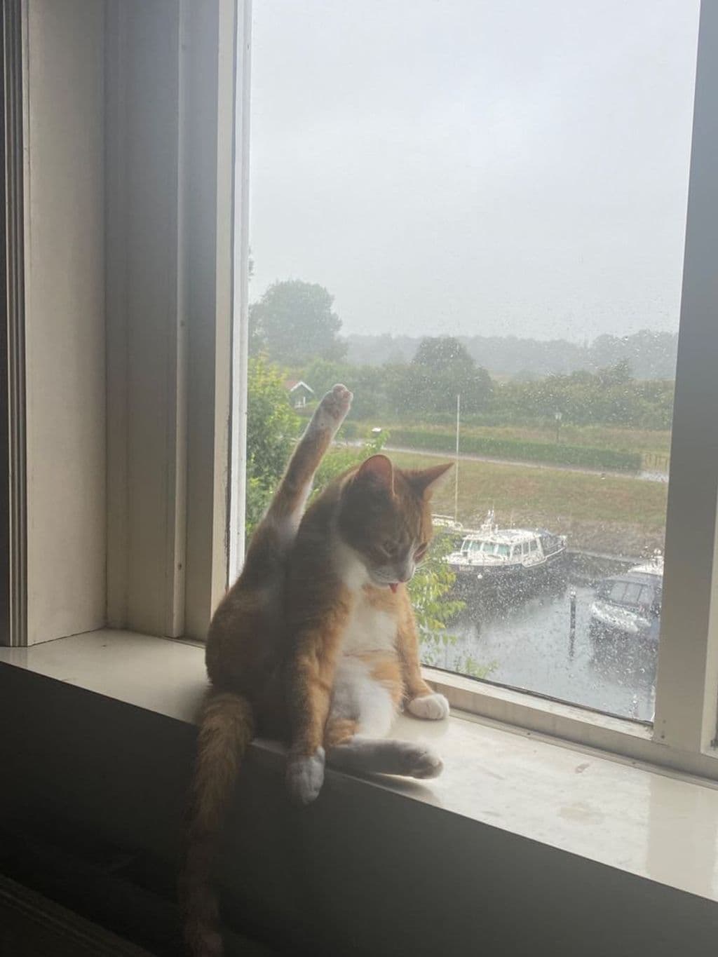 IMG_0090.jpeg