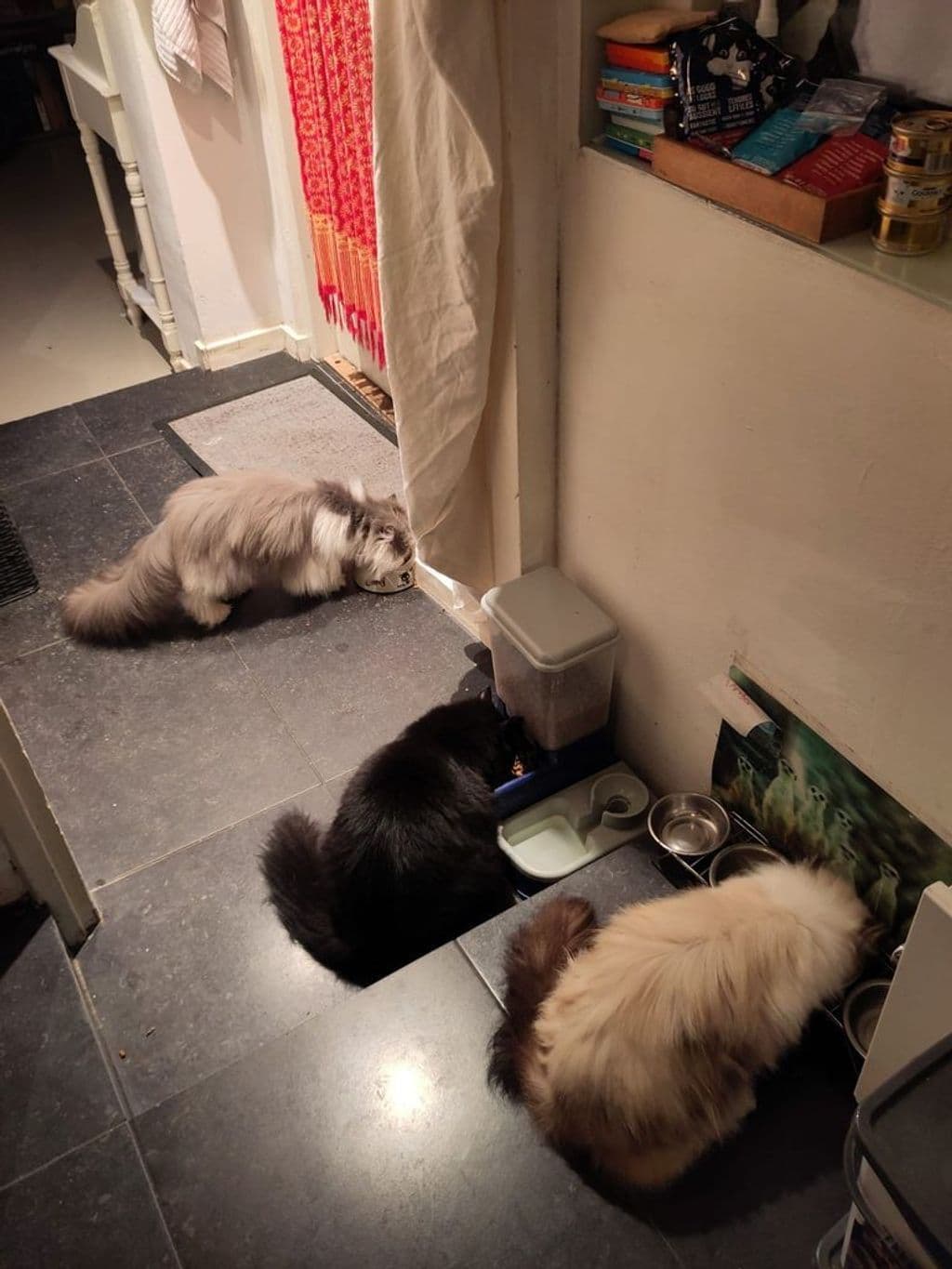 3 of a kind.jfif