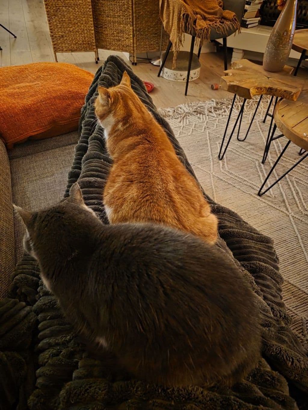 1000000749.jpg