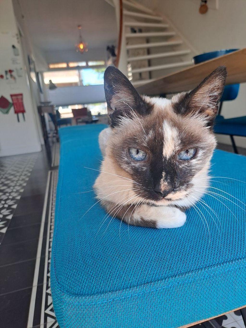 Ali on kitchen bench.jpg