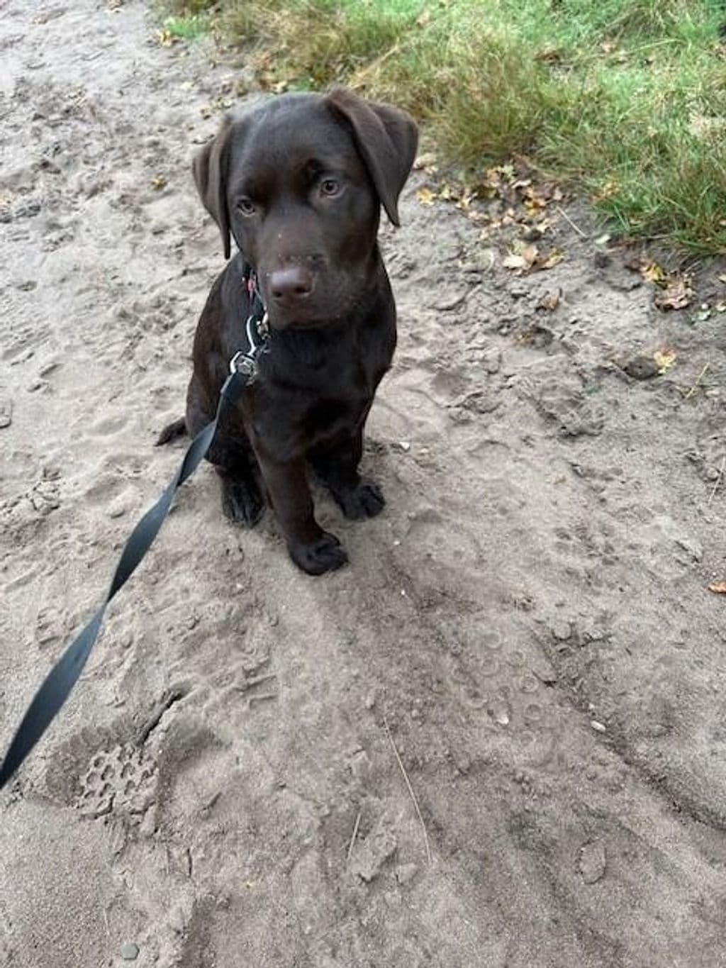 buddy1.jpg