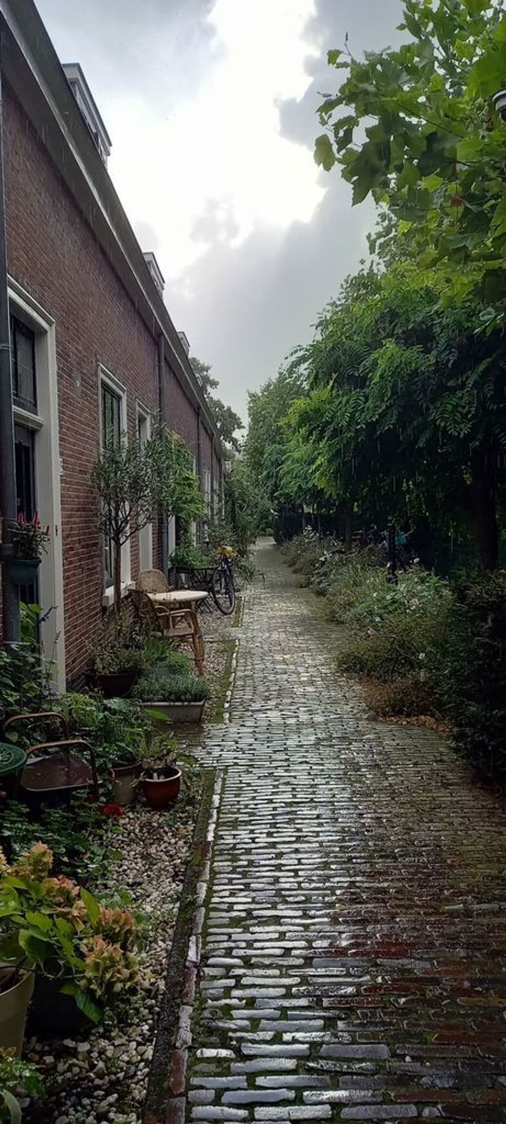 20220916_171908.jpg