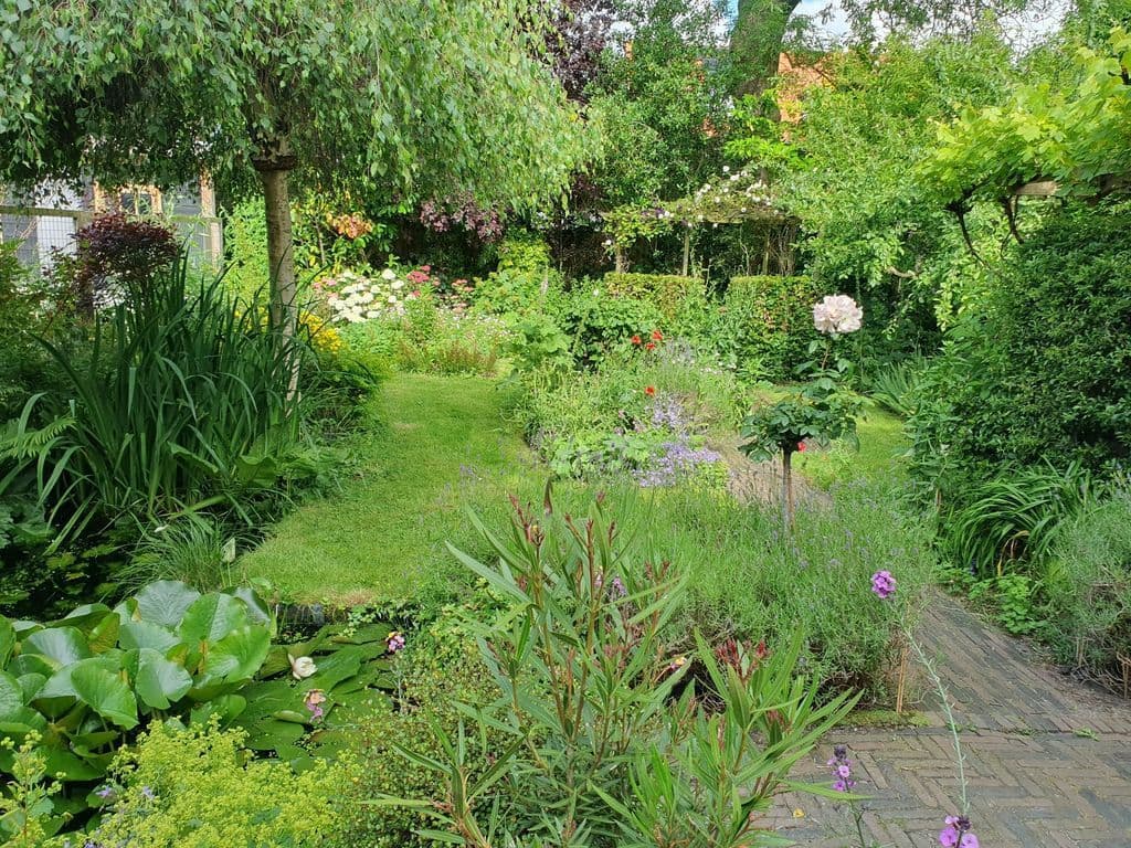 tuin.jpg