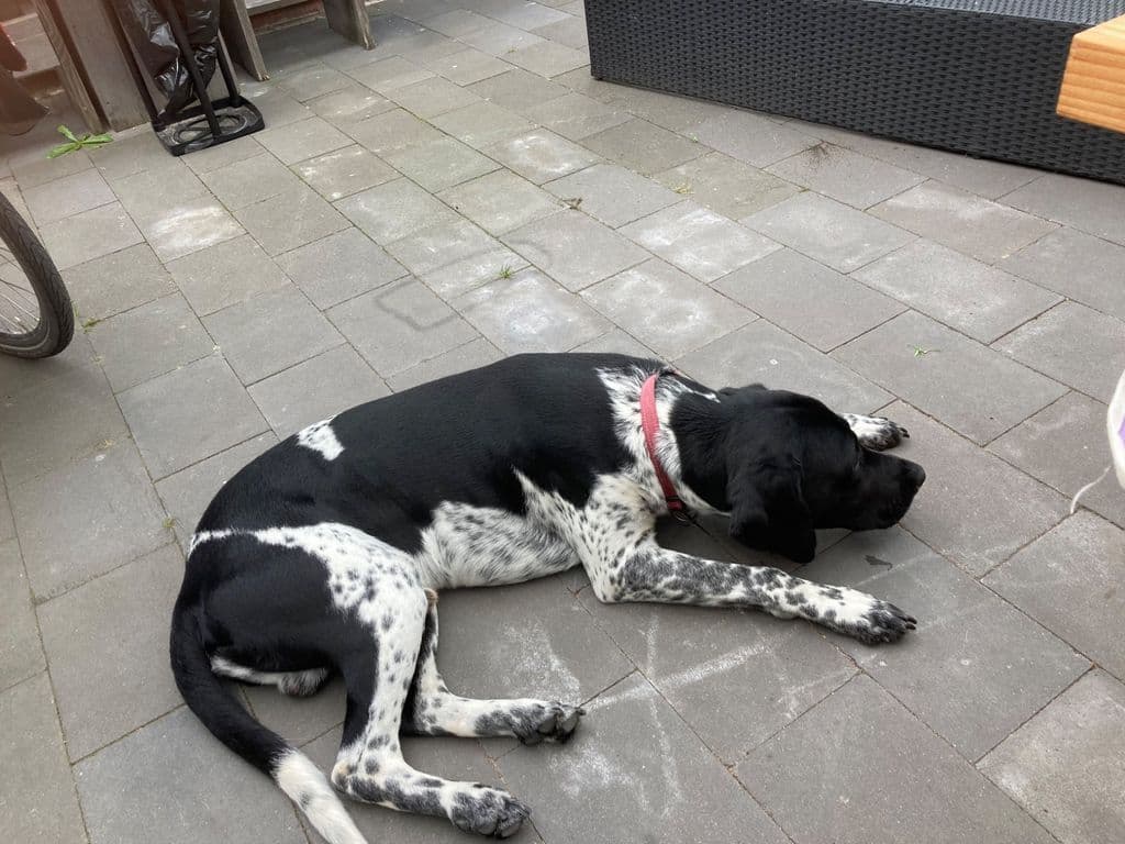 IMG_1414.jpeg