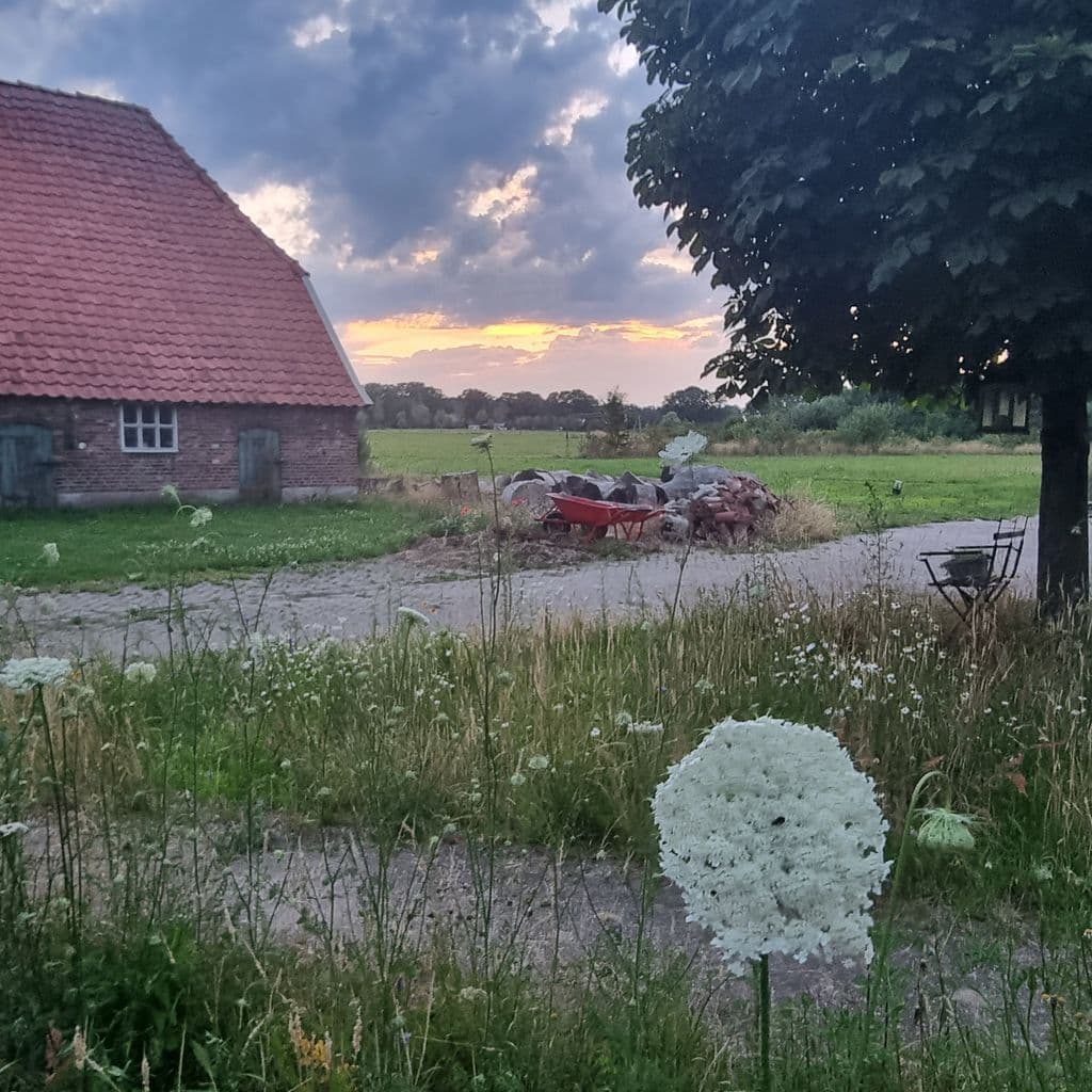 20230711_215830.jpg
