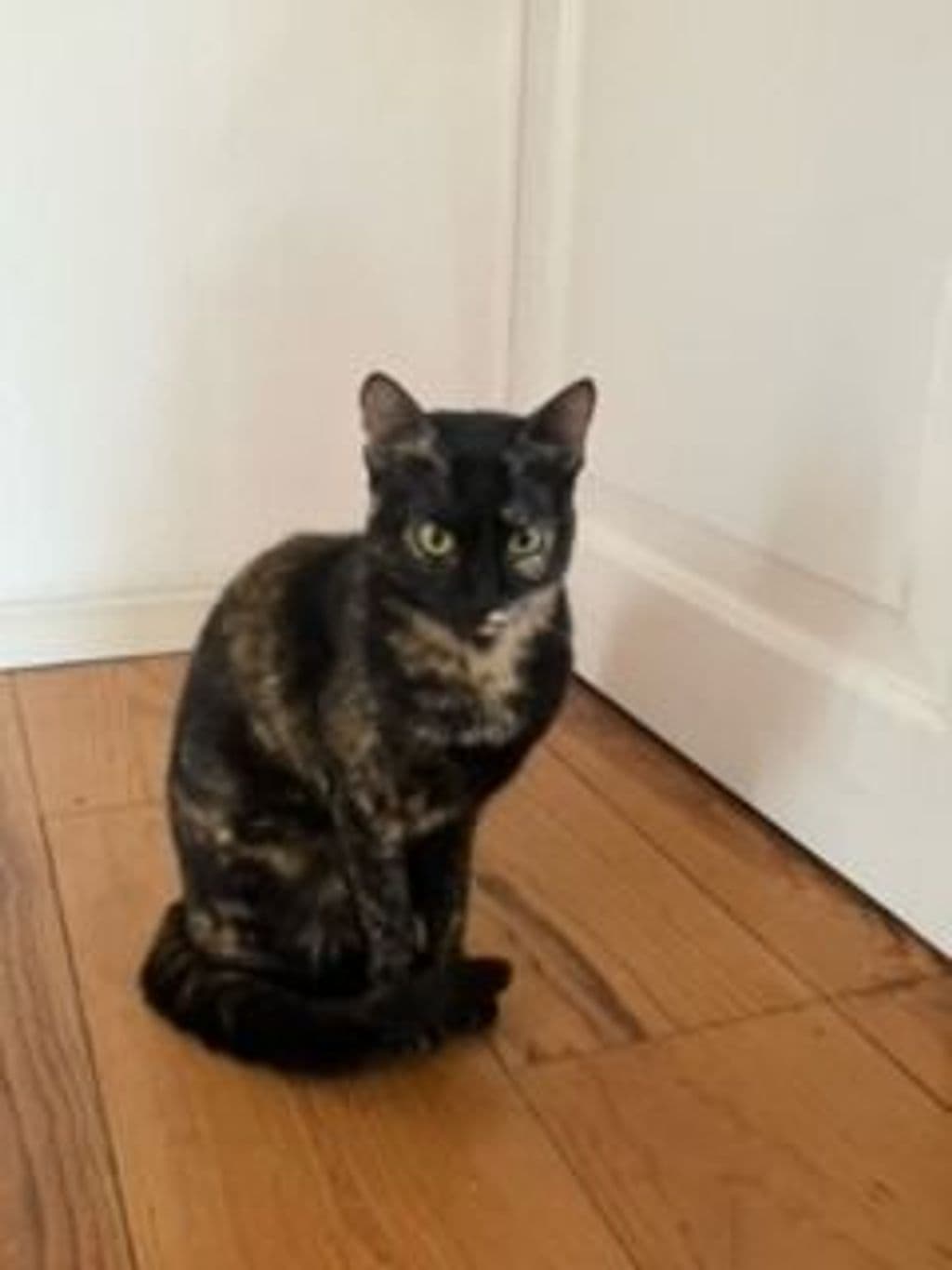 image1.jpeg