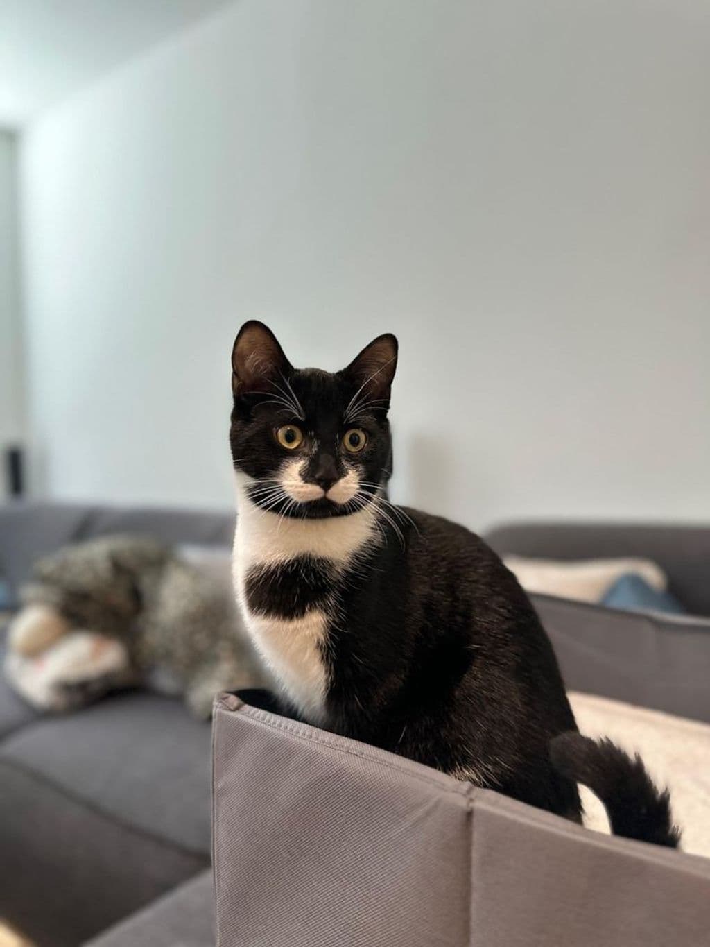 WhatsApp Image 2025-12-04 at 22.34.00.jpeg