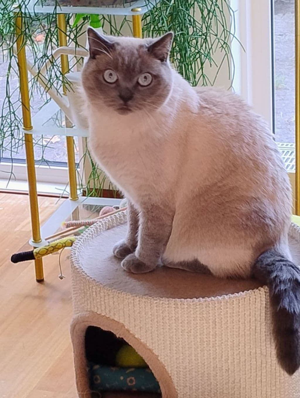 foto Charlie.jpg