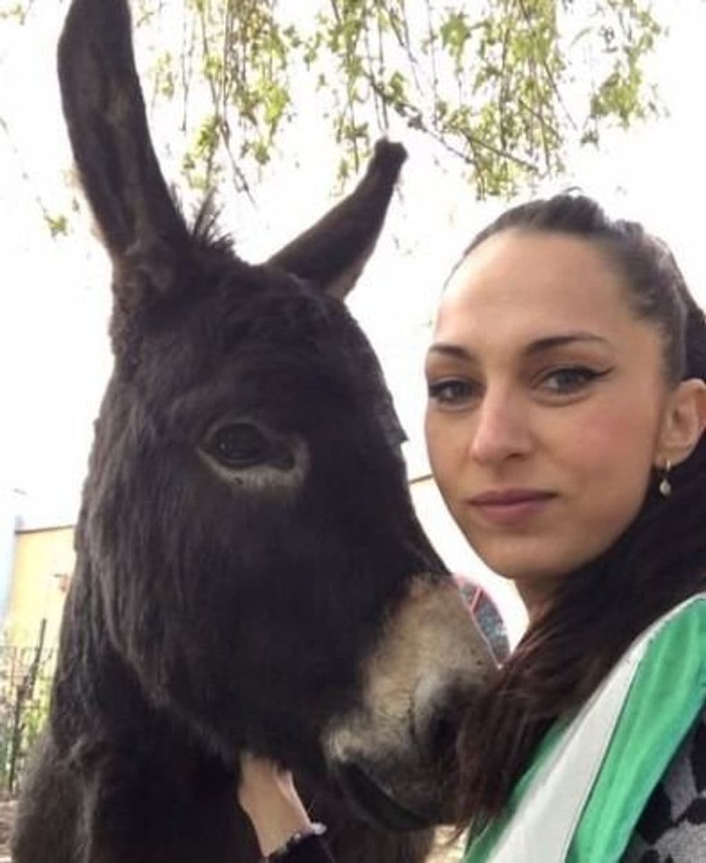 Schermafbeelding 2025-12-30 162406.jpg