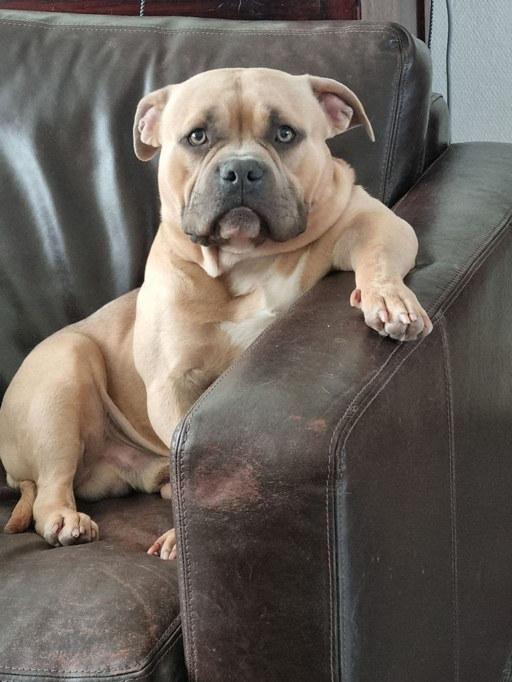 WhatsApp Image 2026-03-05 at 18.19.45 (2).jpeg