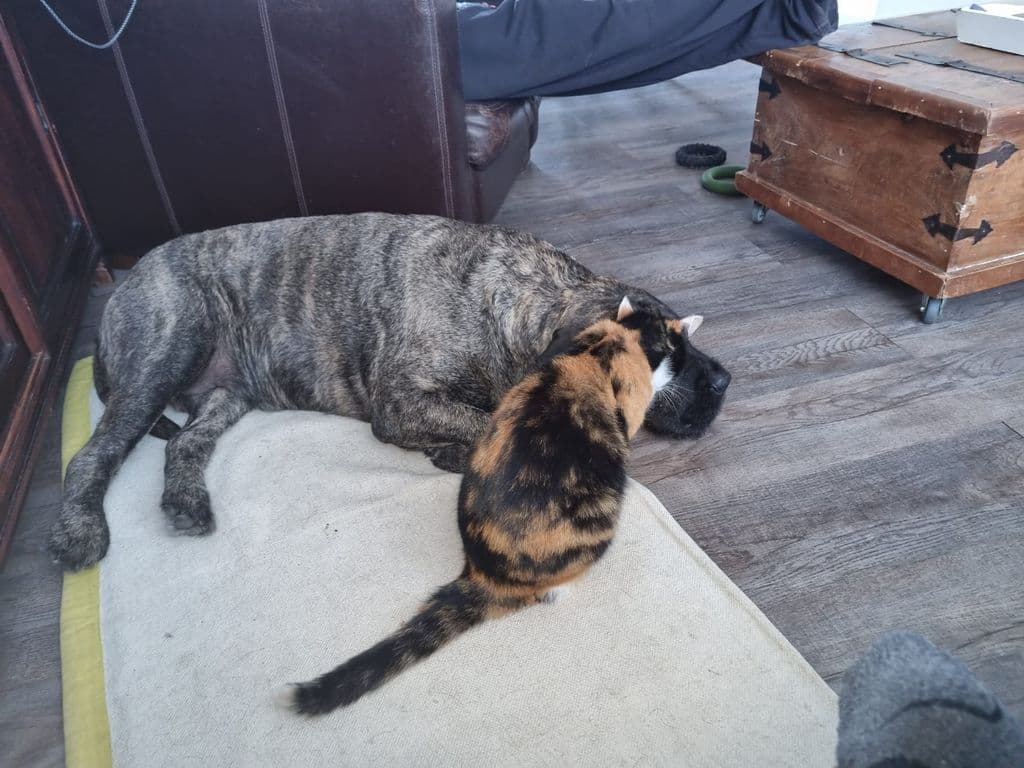 WhatsApp Image 2026-03-05 at 18.57.45 (2).jpeg