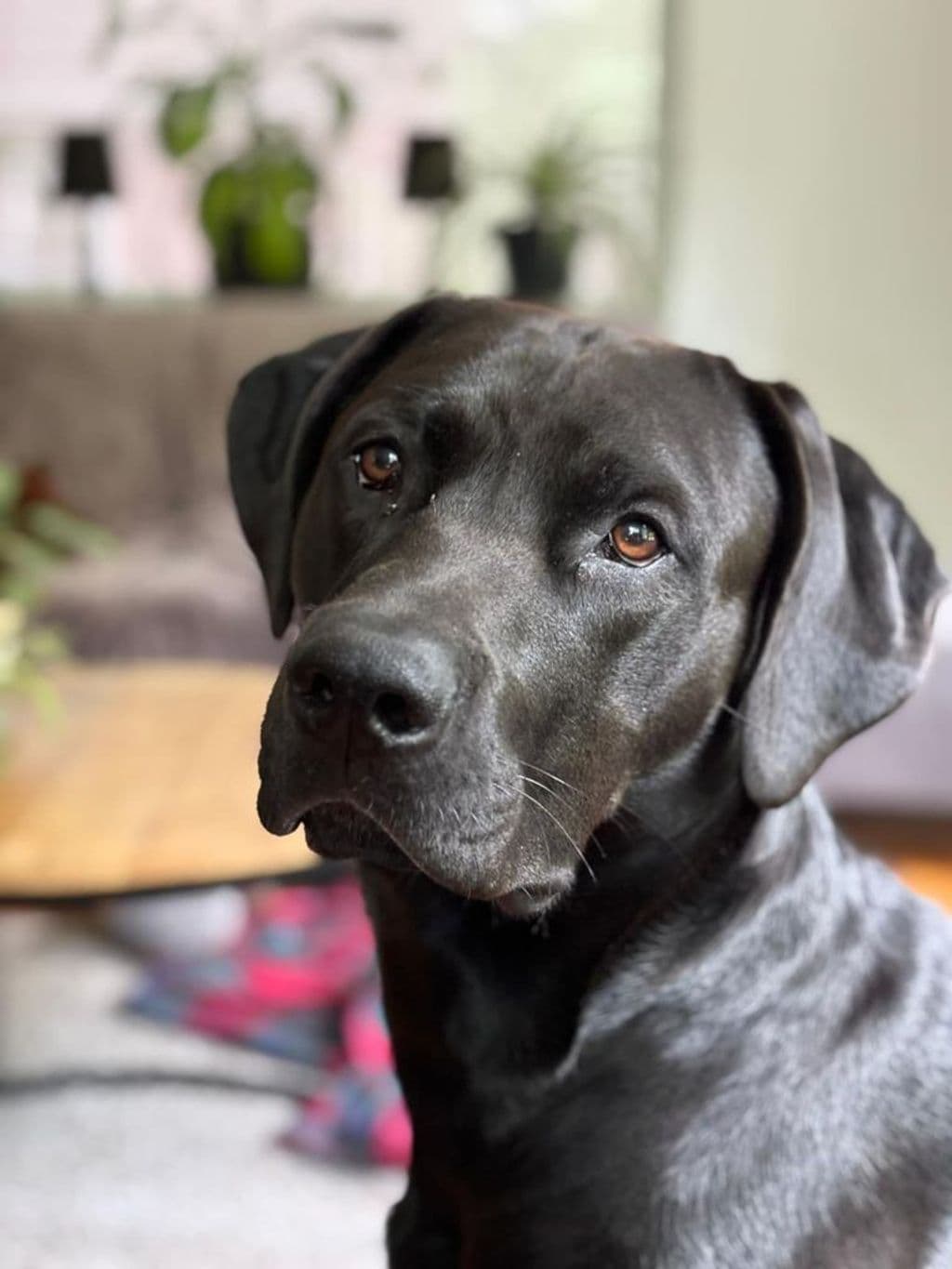 WhatsApp Image 2026-02-03 at 19.51.06.jpeg