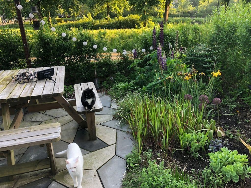 WhatsApp Image 2026-03-11 at 12.12.43 (1).jpeg