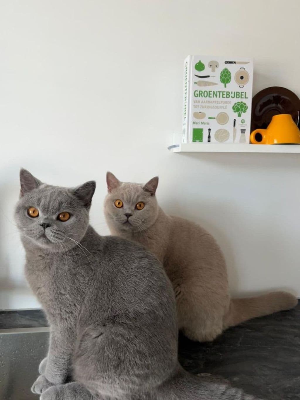 WhatsApp Image 2025-08-01 at 09.40.44 (4).jpeg