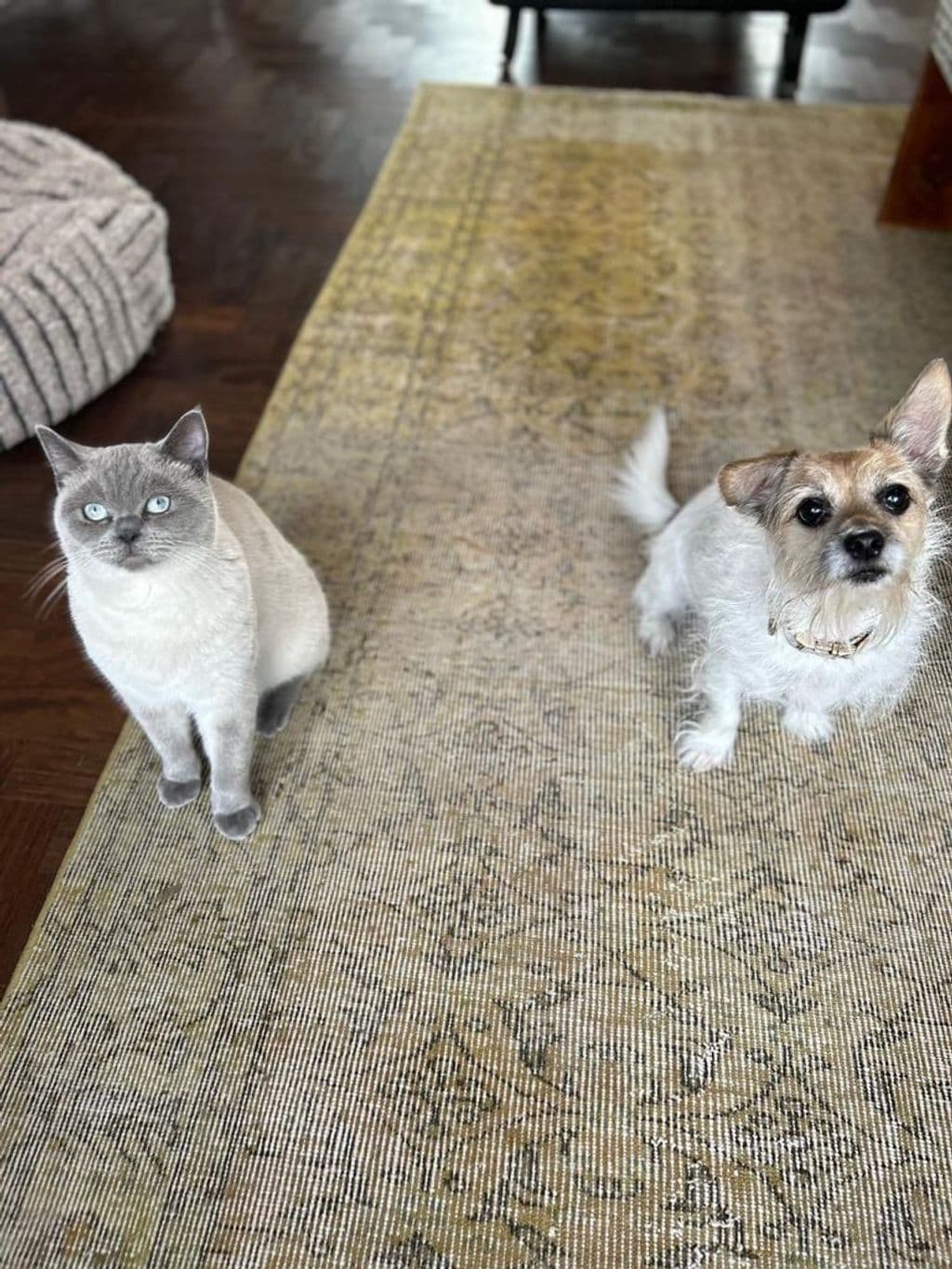 Prezly en Parker.jpg