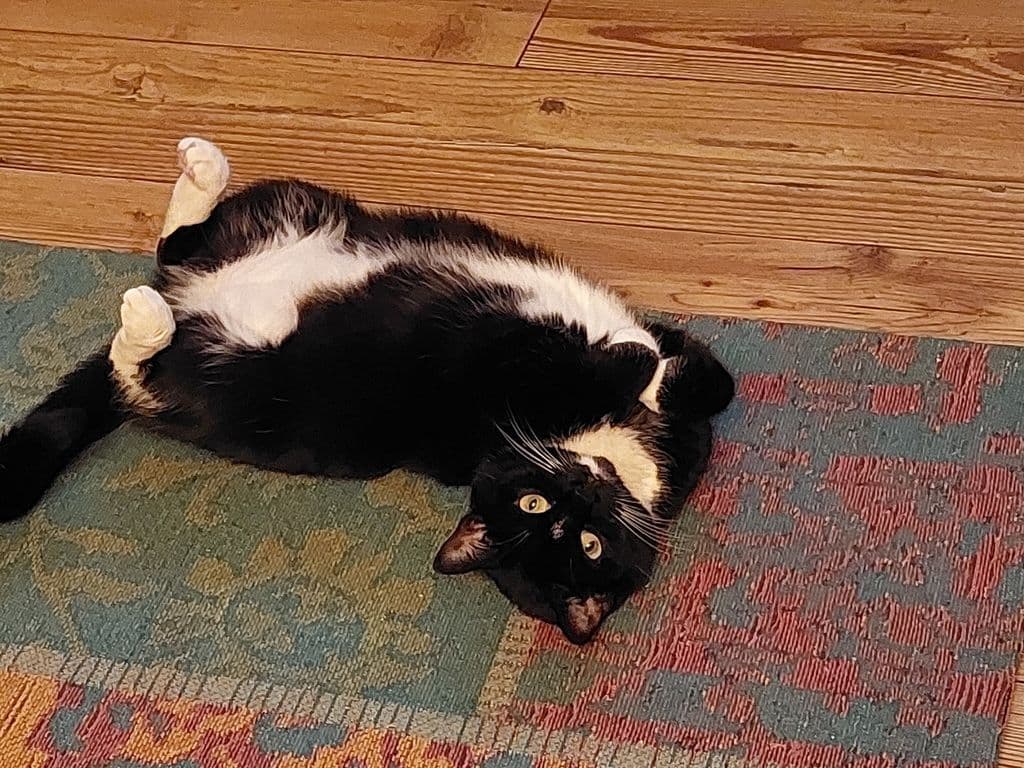 20250223_212058.jpg