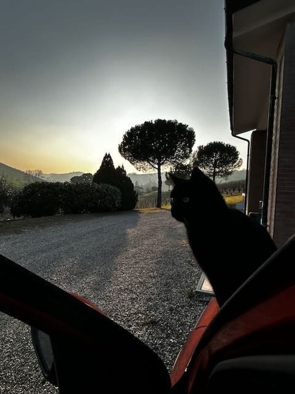 sunset - 1.jpeg