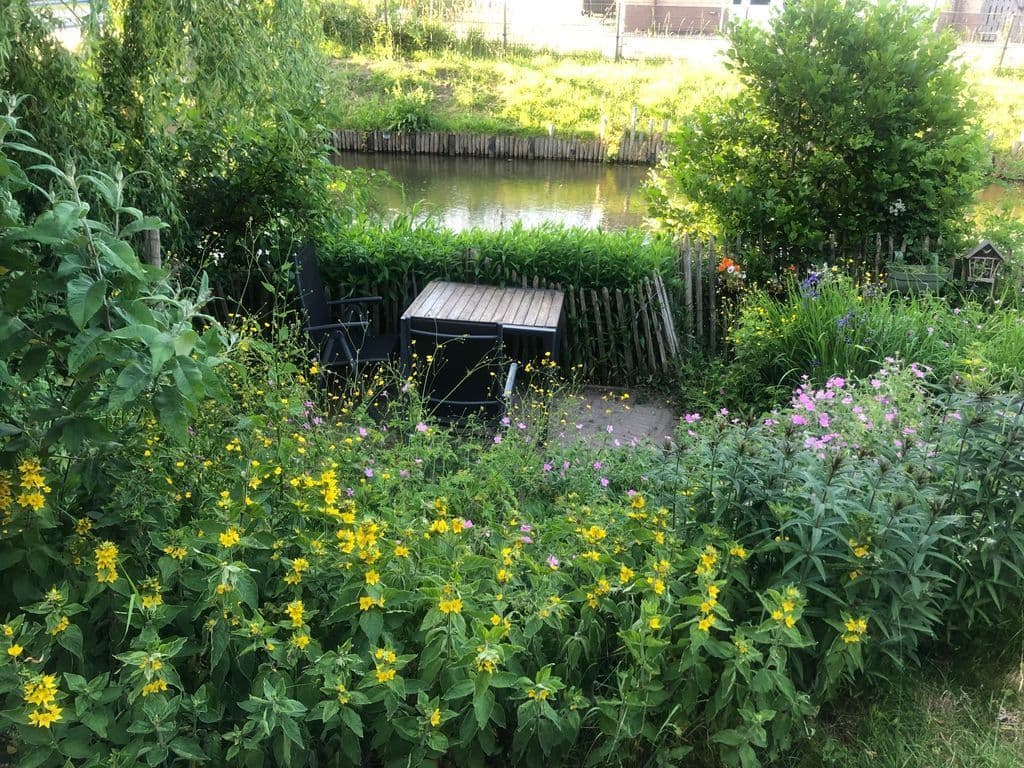 IMG_2558.jpeg