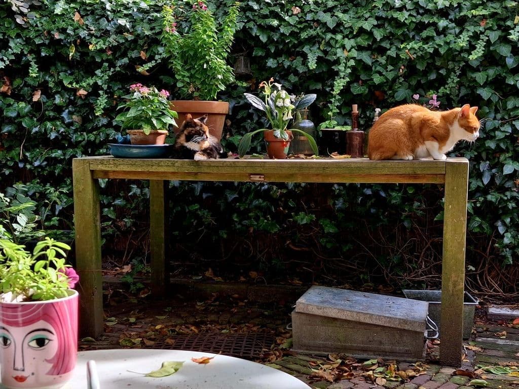 WhatsApp Image 2026-01-19 at 18.58.57.jpeg