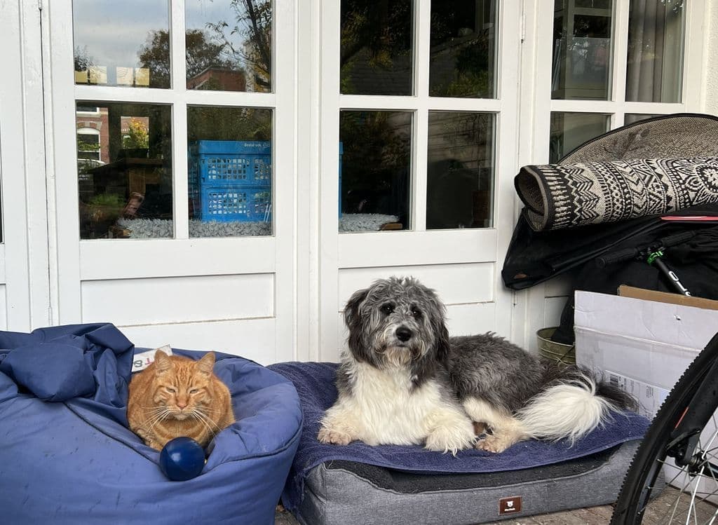 Lester en Dibbe1.jpg