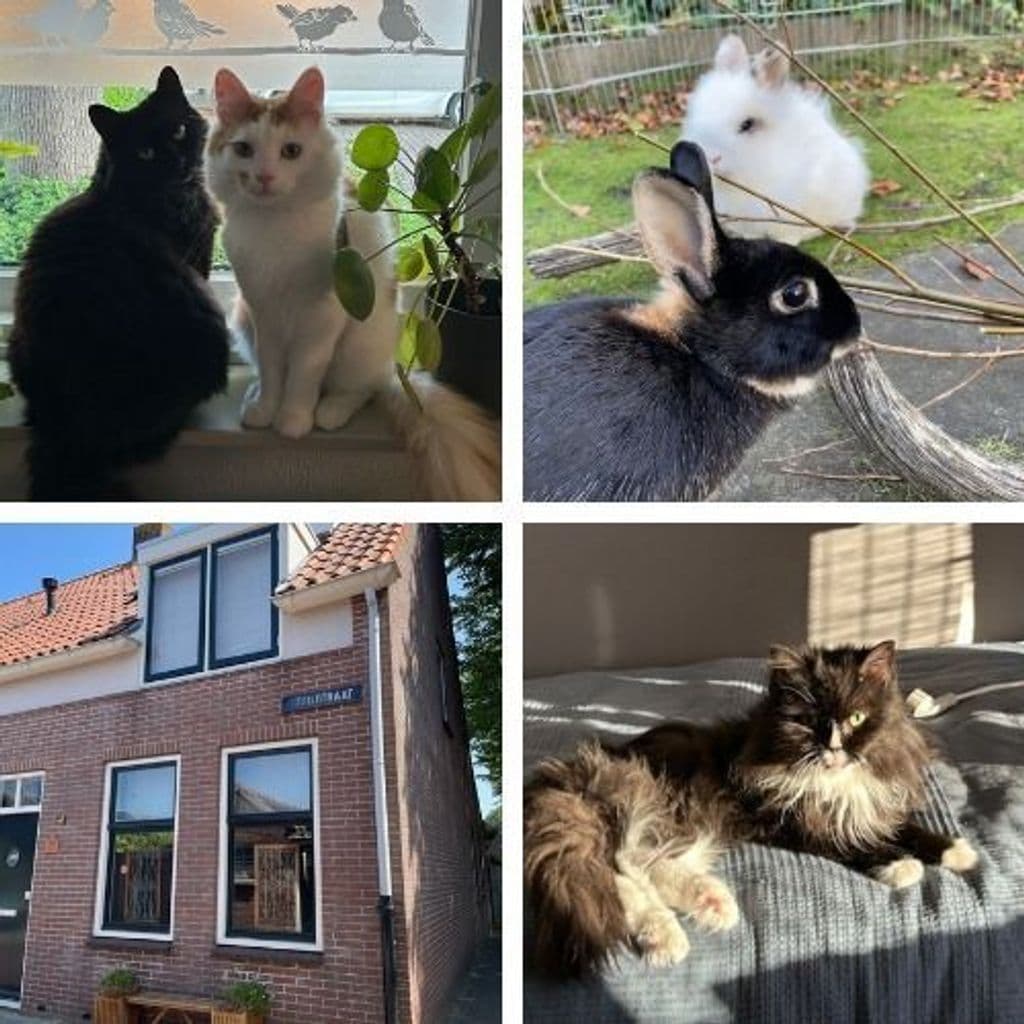 Ontwerp zonder titel - 2025-07-28T083115.637.png