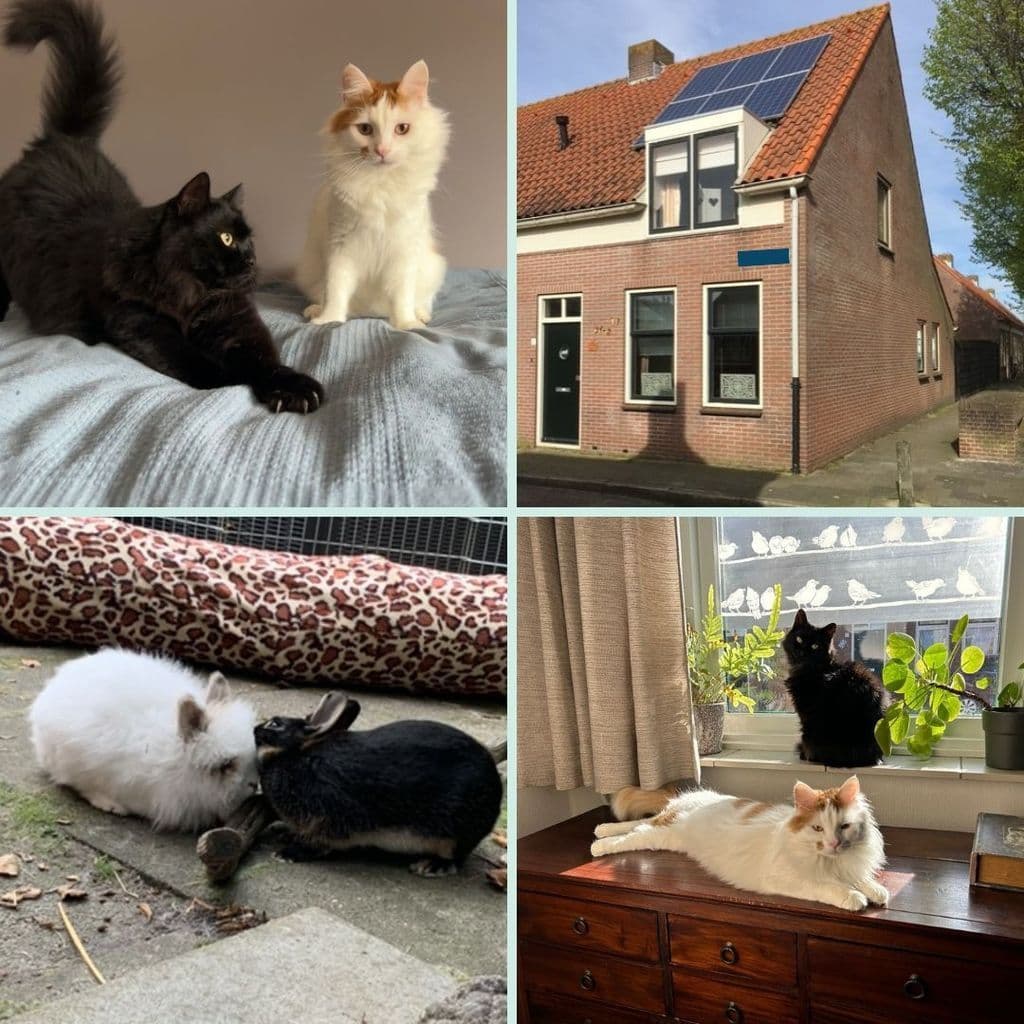 dieren en huis.jpg