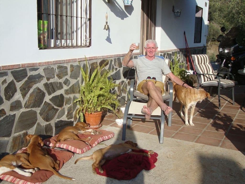 Cees puppies ABC.jpg