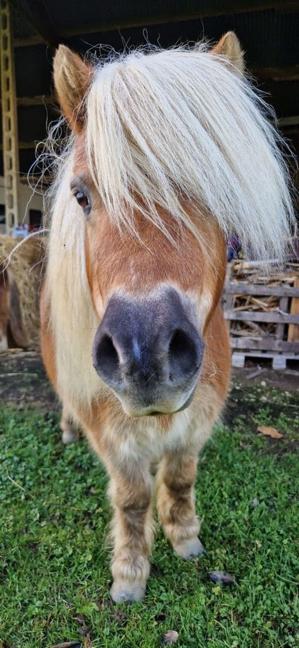 WhatsApp Image 2026-03-22 at 11.24.52 (1).jpeg