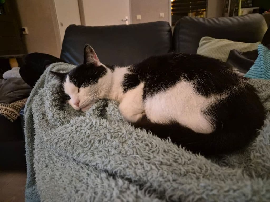 WhatsApp Image 2026-01-18 at 17.16.29.jpeg