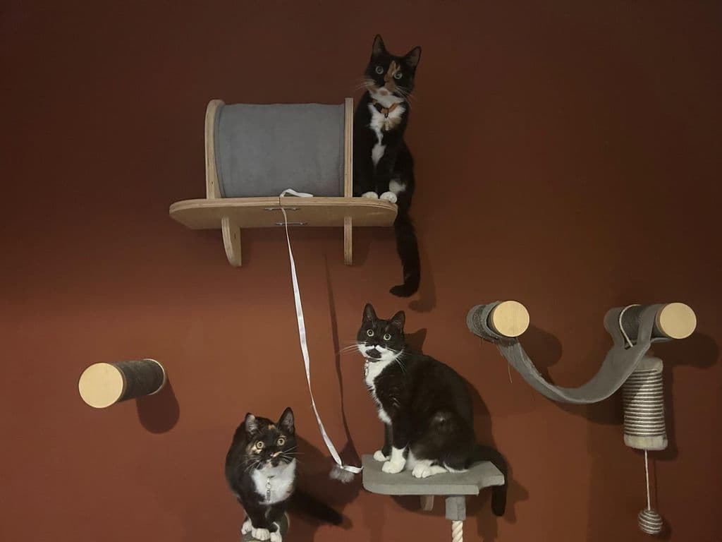 WhatsApp Image 2026-02-22 at 14.51.52.jpeg