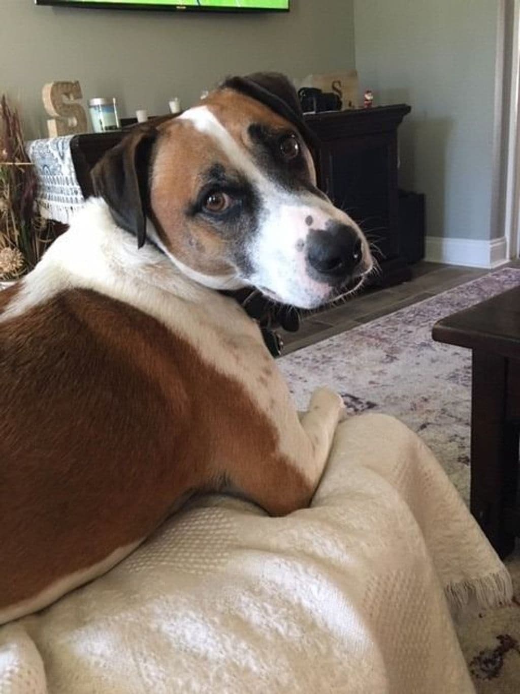Gus.jpg