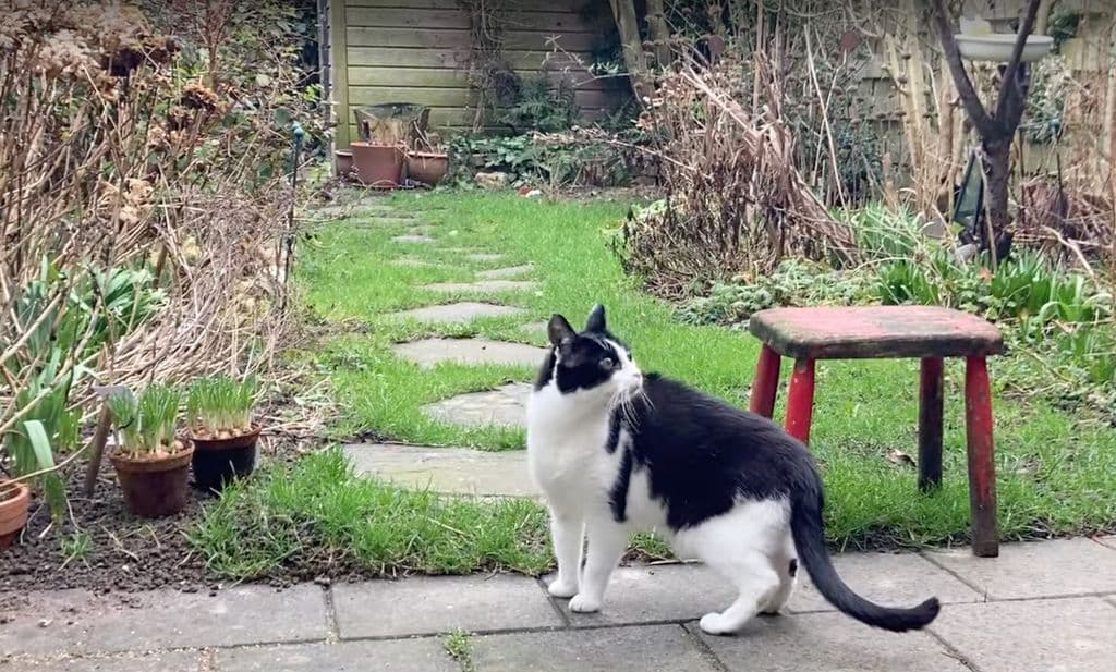 Scherm­afbeelding 2026-02-24 om 13.04.07.png