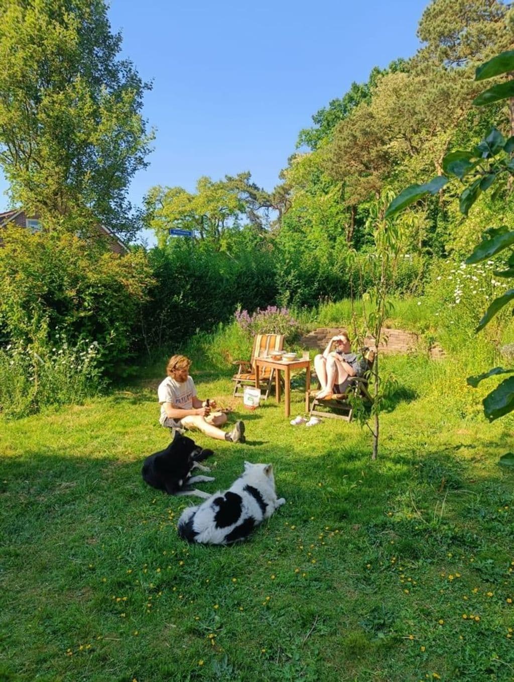 WhatsApp Image 2026-03-23 at 18.41.10 (5).jpeg