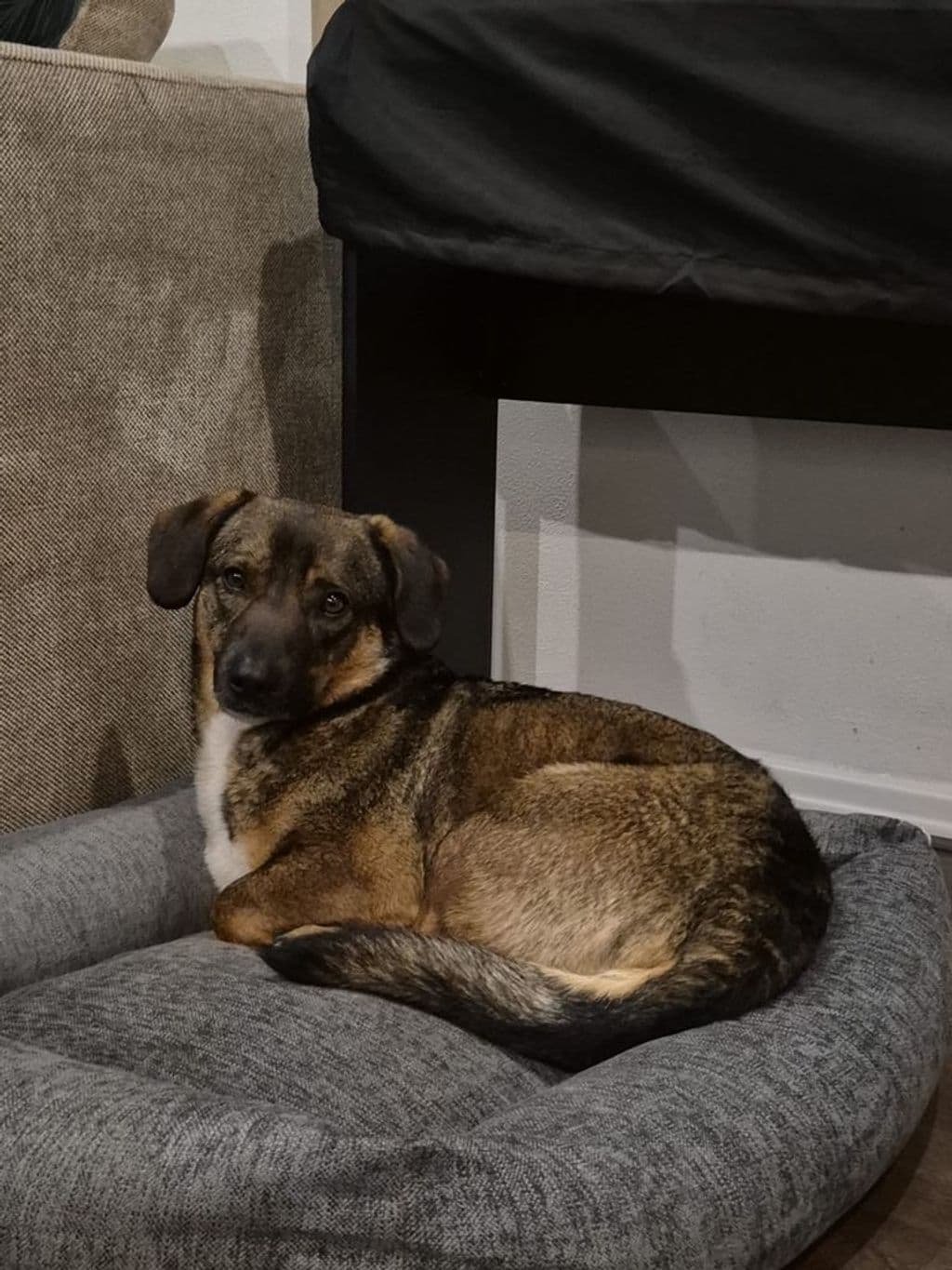 WhatsApp Image 2026-03-05 at 08.19.45.jpeg