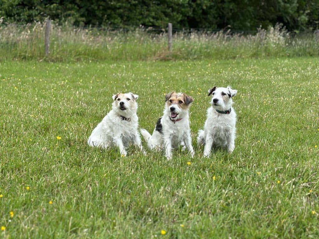 WhatsApp Image 2025-11-23 at 13.24.19.jpeg