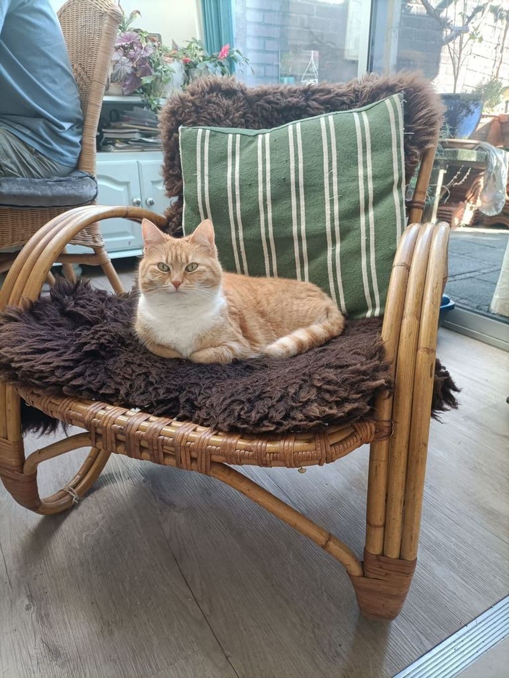 WhatsApp Image 2025-11-01 at 17.09.43.jpeg