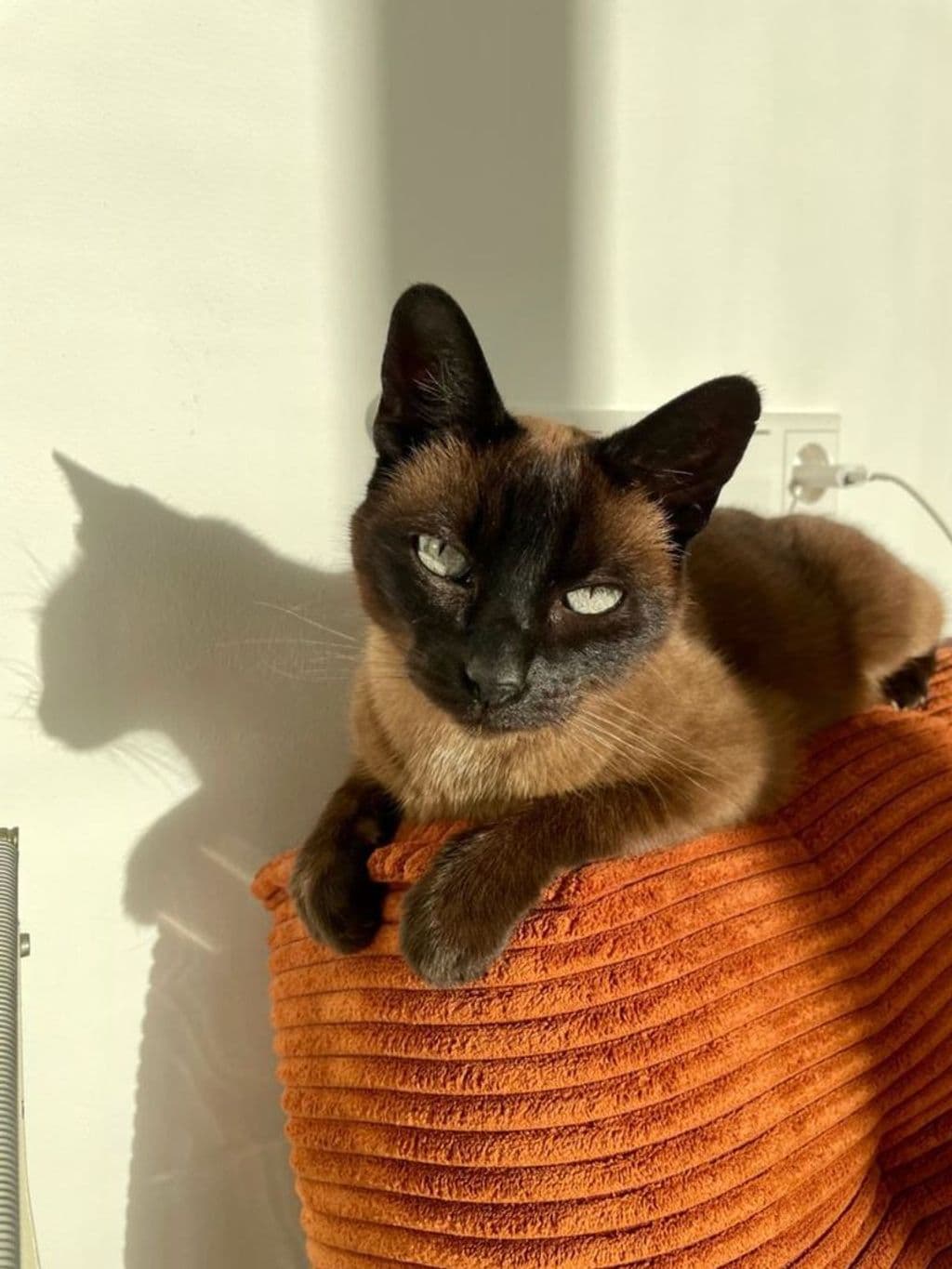 Screenshot 2025-04-16 at 18.55.55.png