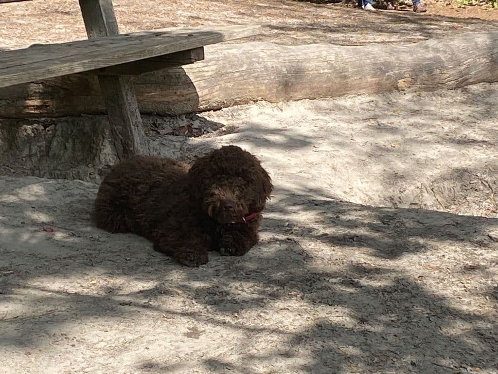 IMG_5561.jpeg