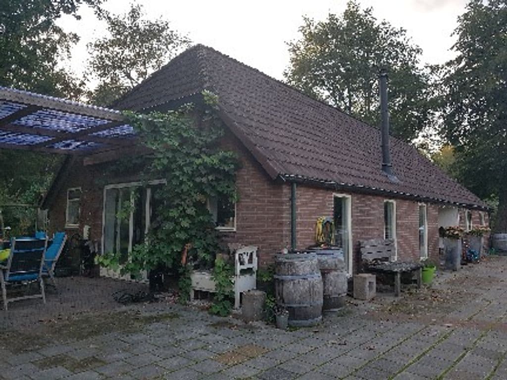 achter het huis .jpg