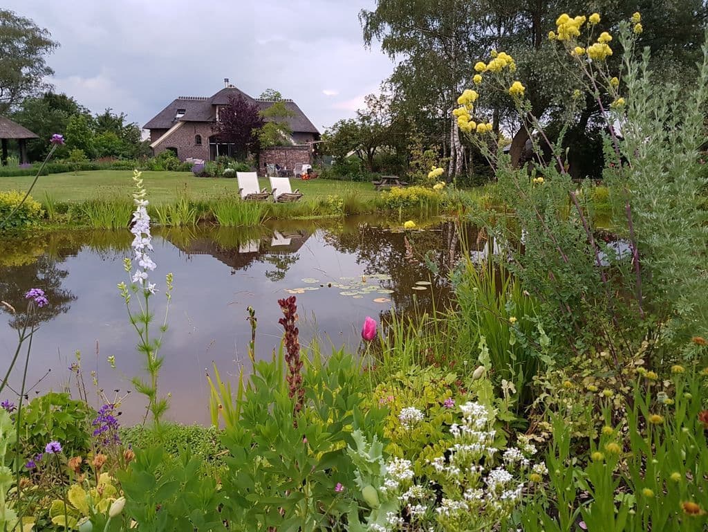 20190620_214908 2019-09-03 11_01_33 2020-04-16 19_45_39.jpg