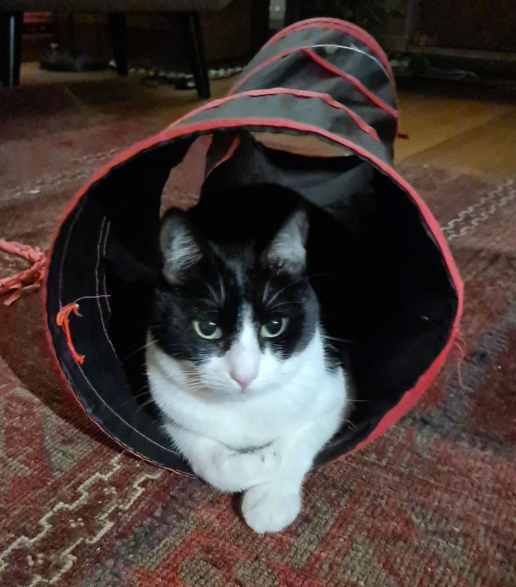 20251114_190543 (1).jpg