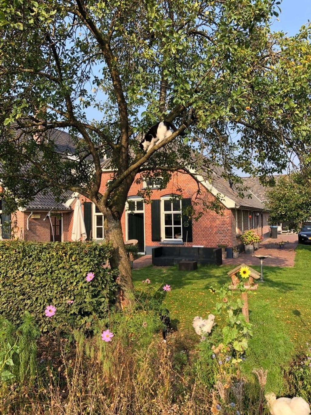 BOERDERIJ1.JPG