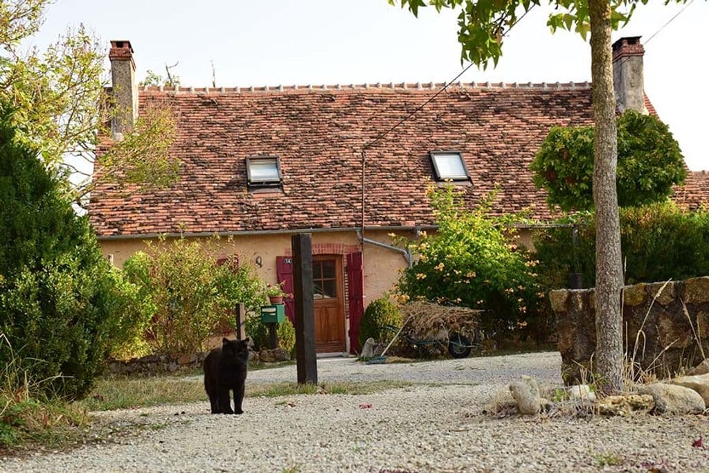 huis en zorro.jpg
