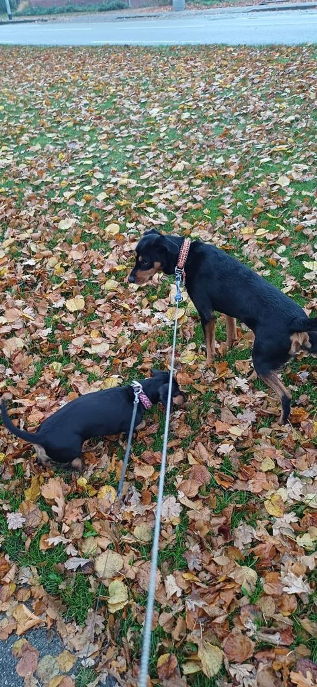 PHOTO-2026-03-25-07-57-06 2.jpg