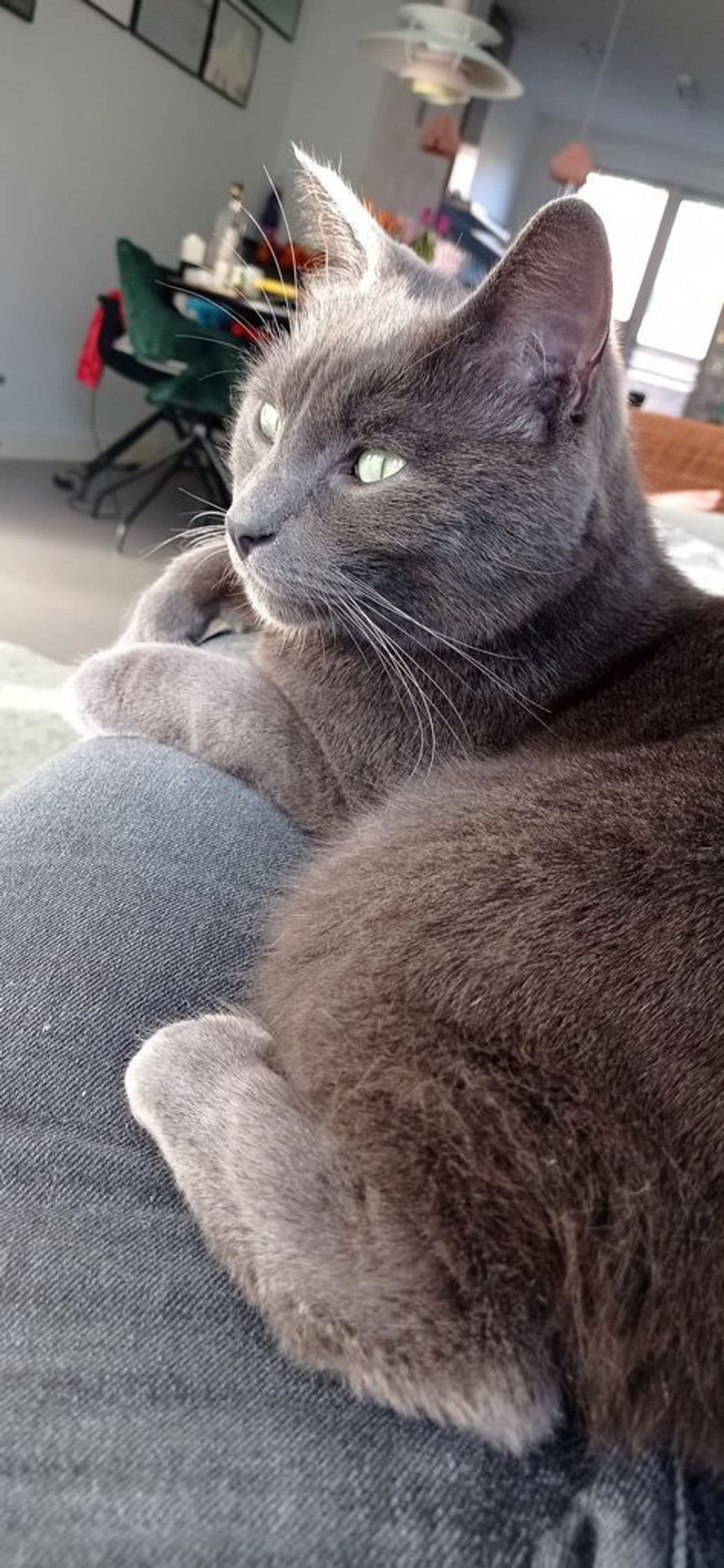 WhatsApp Image 2025-11-12 at 15.21.13.jpeg