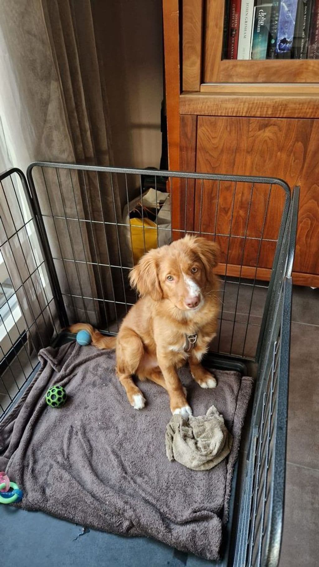 WhatsApp Image 2026-03-09 at 11.57.54.jpeg