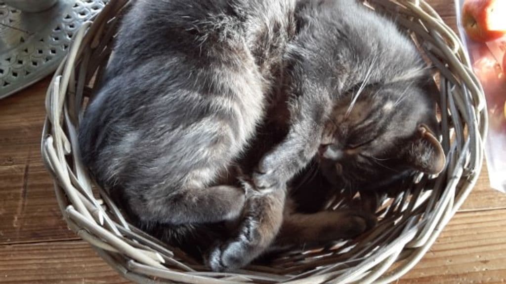 20150205_113542 (Miniatuur).jpg