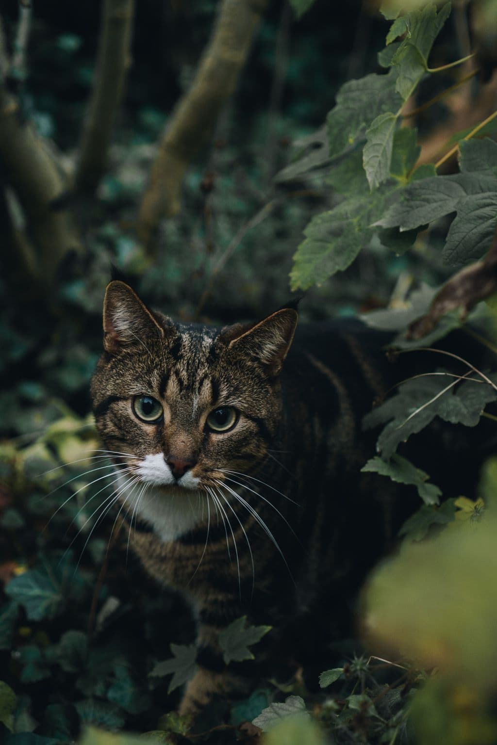 zwangerschaps-shoot chris-salomon-209.jpg