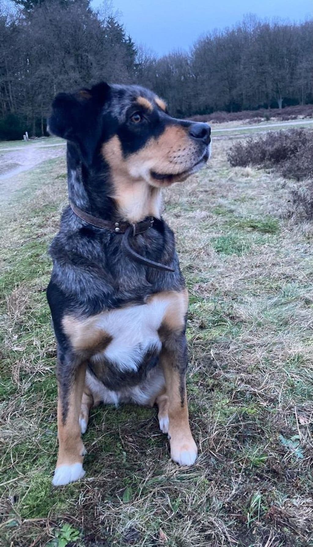 WhatsApp Image 2024-07-09 at 21.43.16 (5).jpeg